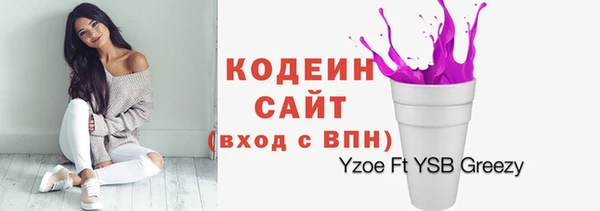 дмт Киреевск
