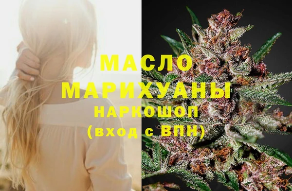 дмт Киреевск