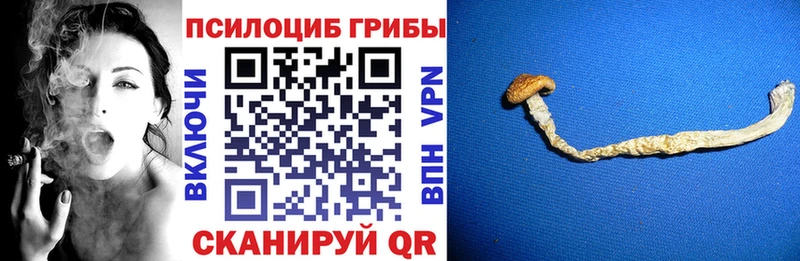 Галлюциногенные грибы мицелий Малгобек